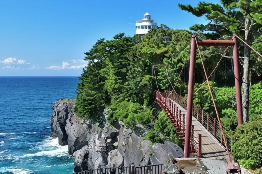 Tokyo:Izu Penisula Train Mt Omuro, Capybara Sightseeing Trip - What the $87 price really covers