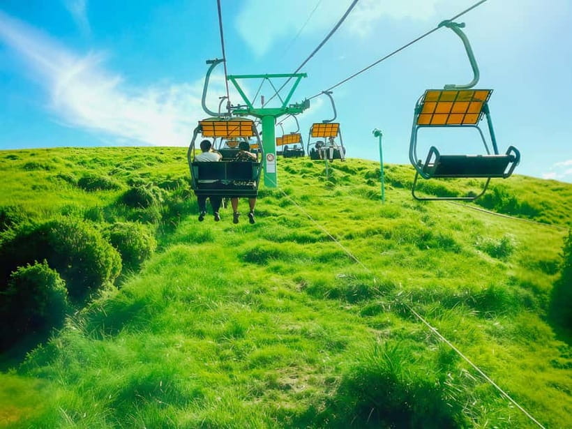 Tokyo:Izu Penisula Train Mt Omuro, Capybara Sightseeing Trip - Jogasaki Coast and Kadowaki Bridge