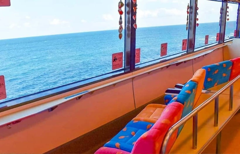 Tokyo: Izu Scenic Oceanview Train, Volcano, Coast Day Trip - Key points to know before booking