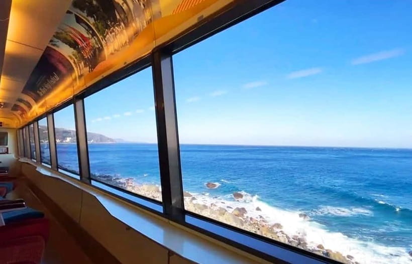 Tokyo: Izu Scenic Oceanview Train, Volcano, Coast Day Trip - Leaving Shinjuku for Izu at 7 a.m.