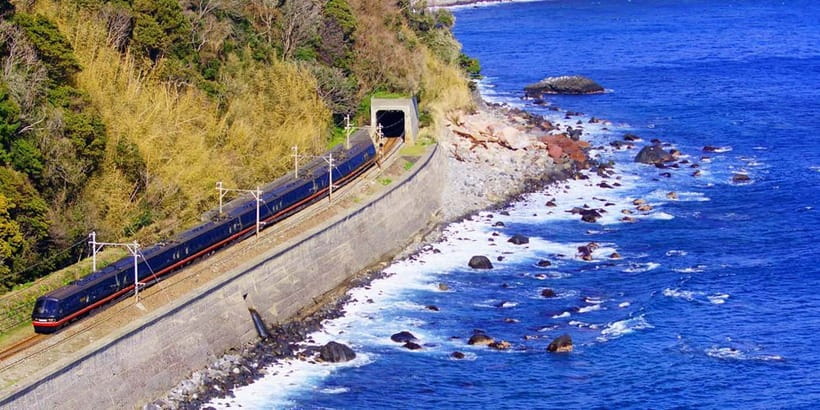 Tokyo: Izu Scenic Oceanview Train, Volcano, Coast Day Trip - Cactus, kangaroos, and capybara hot springs