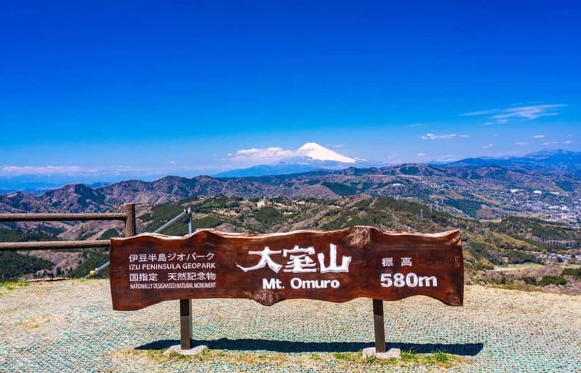 Tokyo: Izu Scenic Oceanview Train, Volcano, Coast Day Trip - Should you book this Izu day trip?