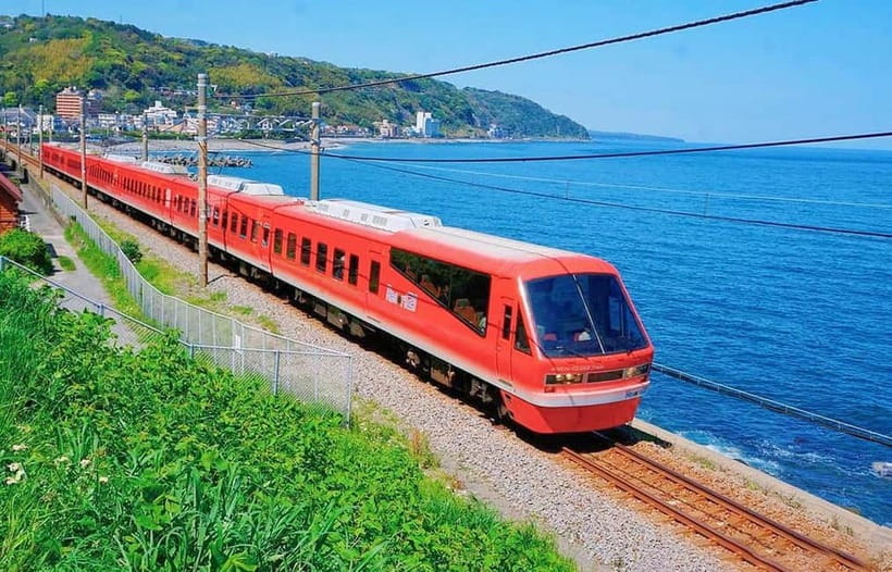 Tokyo: Izu Scenic Oceanview Train, Volcano, Coast Day Trip - Omuroyama, a volcano shaped like a bowl
