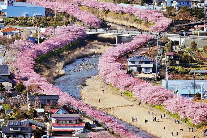 Tokyo-Izu: Volcano, Ocean& Capybara Cuddle with Izu Scenic Train - Why this Tokyo to Izu day trip works