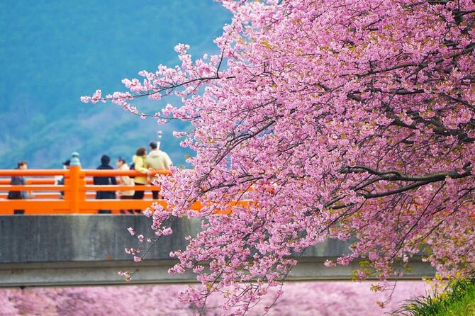 Tokyo-Izu: Volcano, Ocean& Capybara Cuddle with Izu Scenic Train - Is the $84.86 price good value?