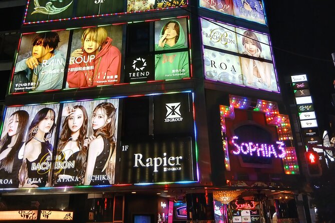 Tokyo Kabukicho Tour & Dinner Party - for Adults Only - Wild One: an adult shop with a novelty angle