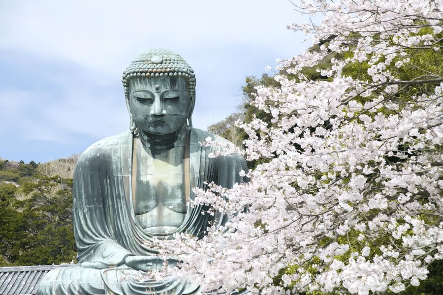 Tokyo: Kamakura & Enoshima Day Tour with Pickup & Train Ride - What the driver-led format is really like