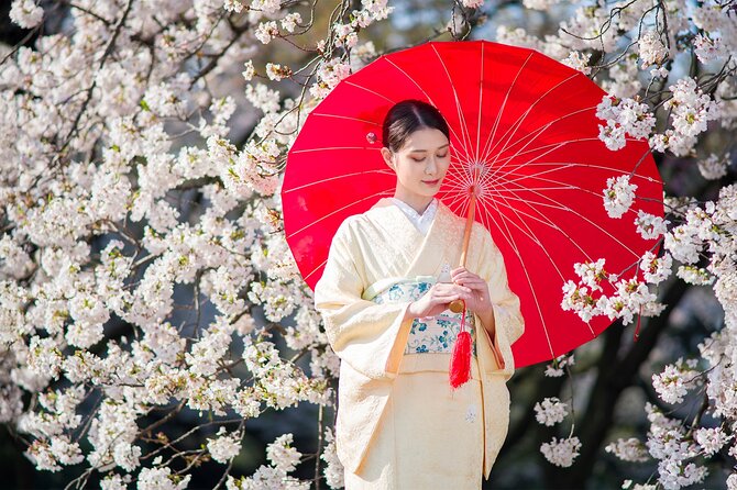 Tokyo: Kimono Experience inside Shinjuku Gyoen National Garden - Who will enjoy this experience most