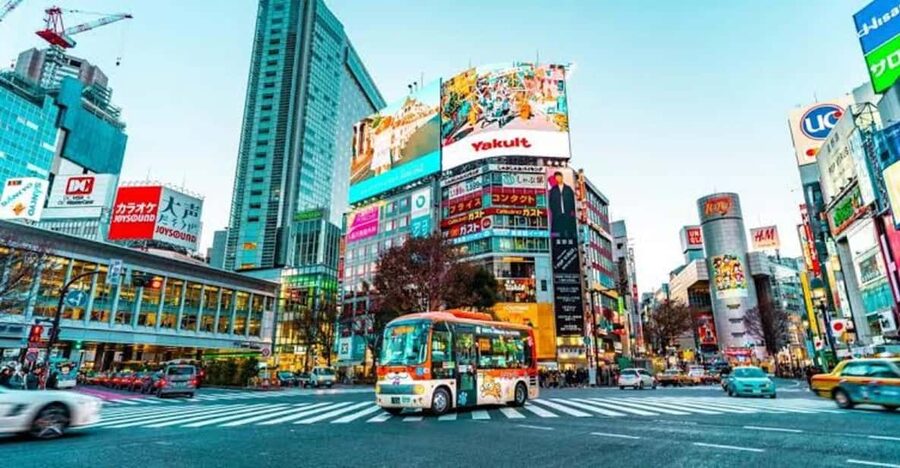 Tokyo:Luxury Private Tour with English-Speaking driver - Senso-ji and Asakusa show old Tokyo at street level