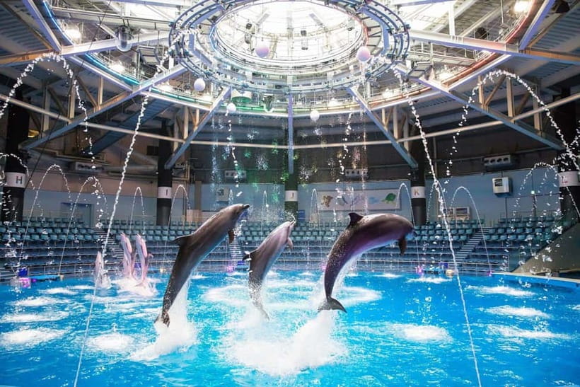 Tokyo: Maxell Aqua Park Shinagawa Direct Entry Ticket - Why This Shinagawa Aquarium Is Worth Your Time