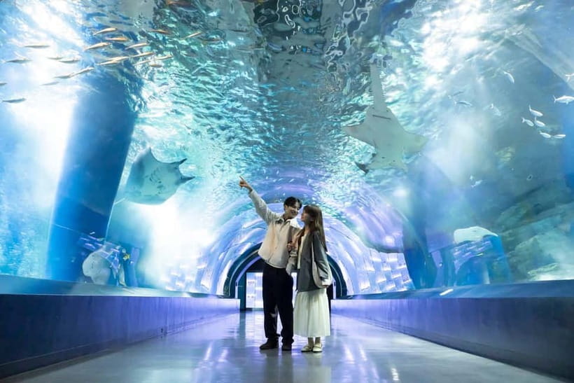 Tokyo: Maxell Aqua Park Shinagawa Direct Entry Ticket - The Rare Animals to Look For