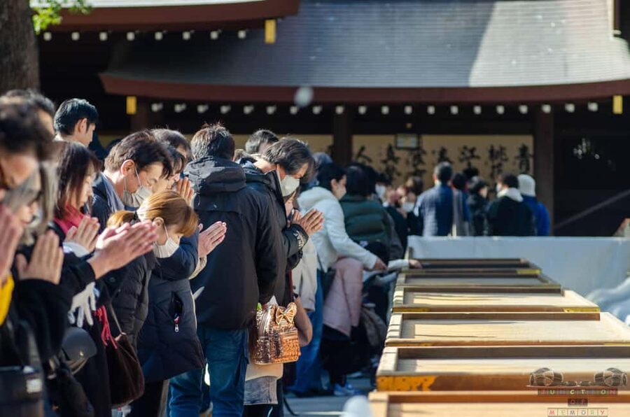 Tokyo: Meiji Jingu, Harajuku, Shibuya, and Shijuku Tour - Price, pace, and practical value