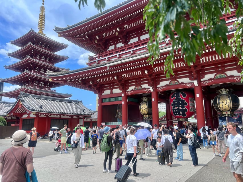 Tokyo: Meiji Jingu Shrine and Shinto Culture Walking Tour - Key points to know before you book