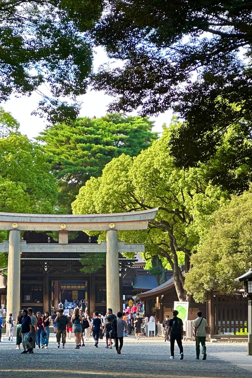 Tokyo: Meiji Jingu Shrine and Shinto Culture Walking Tour - Sake barrels, wine barrels, and modern Meiji Jingu