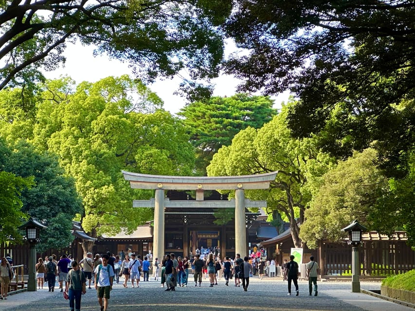 Tokyo: Meiji Jingu Shrine and Shinto Culture Walking Tour - Why $19 is a fair price