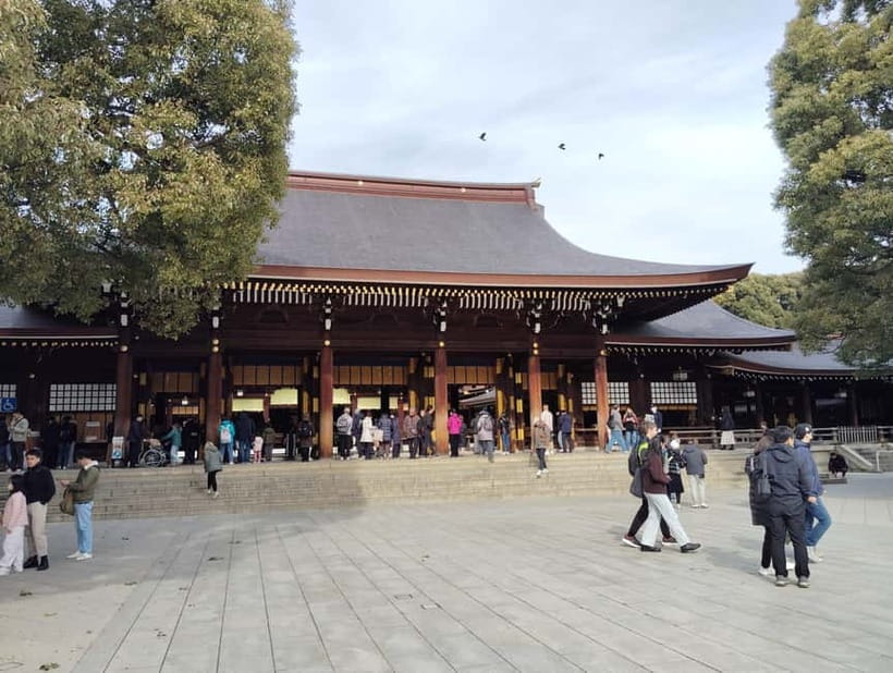 Tokyo: Meiji Jingu Shrine & Inner Garden Guided Tour (2h) - The grand torii and the handwashing ritual