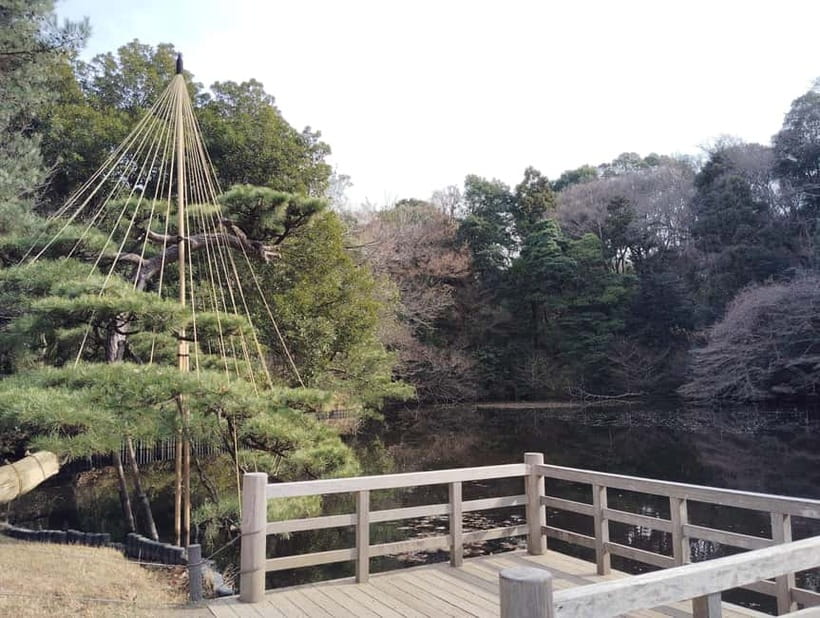 Tokyo: Meiji Jingu Shrine & Inner Garden Guided Tour (2h) - Omikuji, protective charms, and a little luck