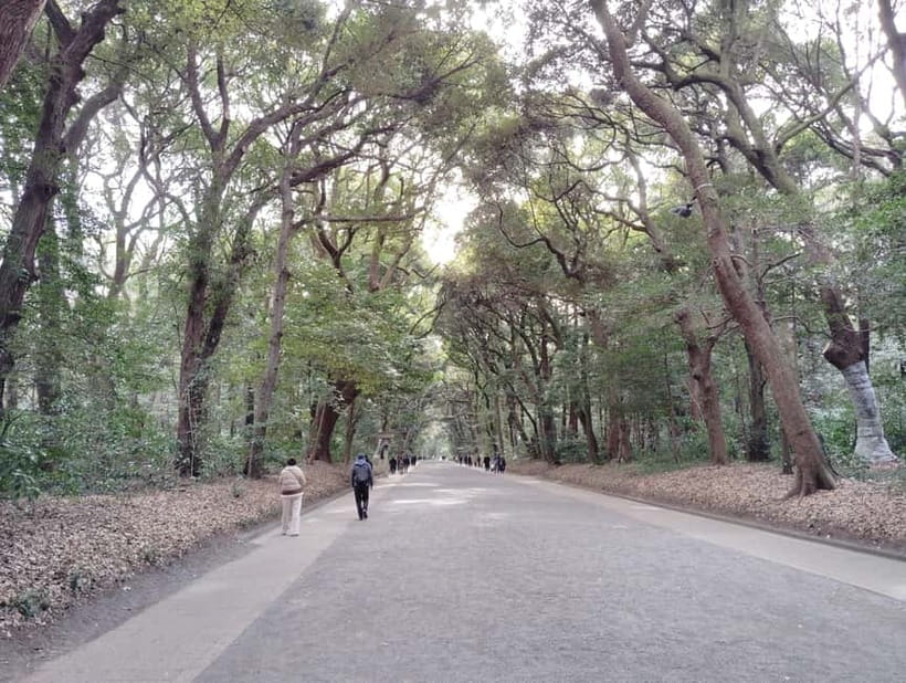 Tokyo: Meiji Jingu Shrine & Inner Garden Guided Tour (2h) - Shinen Garden and the quiet South Pond