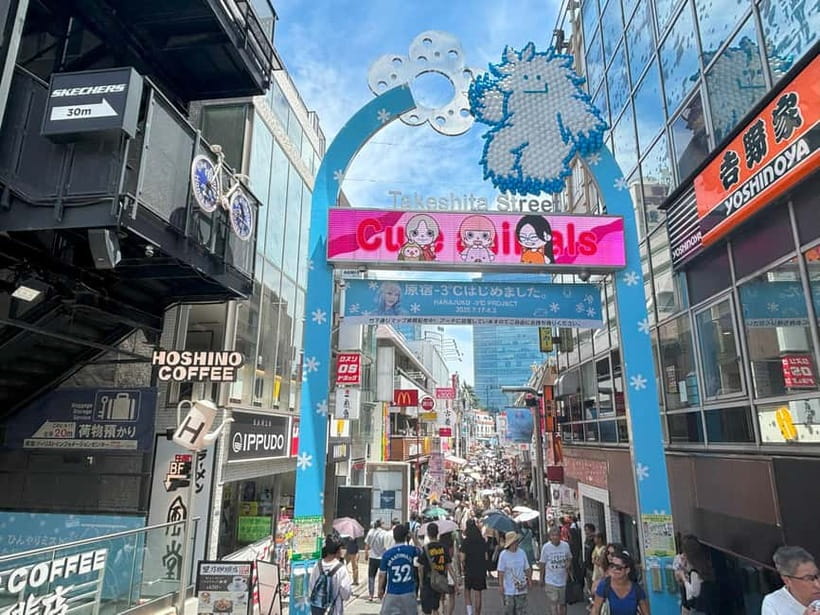 Tokyo: Meiji Jingu, Yoyogi Park & Takeshita Street Tour - Why this Harajuku walk works so well