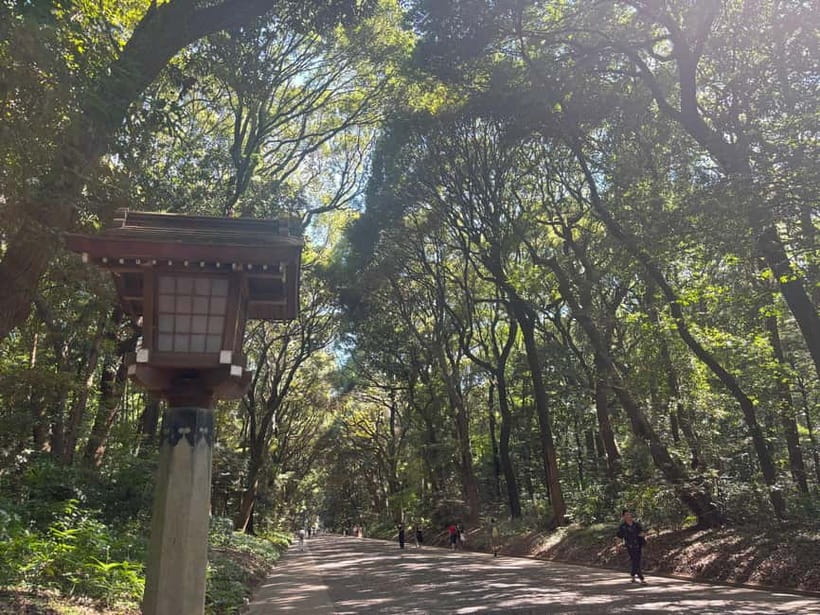Tokyo: Meiji Jingu, Yoyogi Park & Takeshita Street Tour - Meiji Jingu: quiet forest and Shinto customs