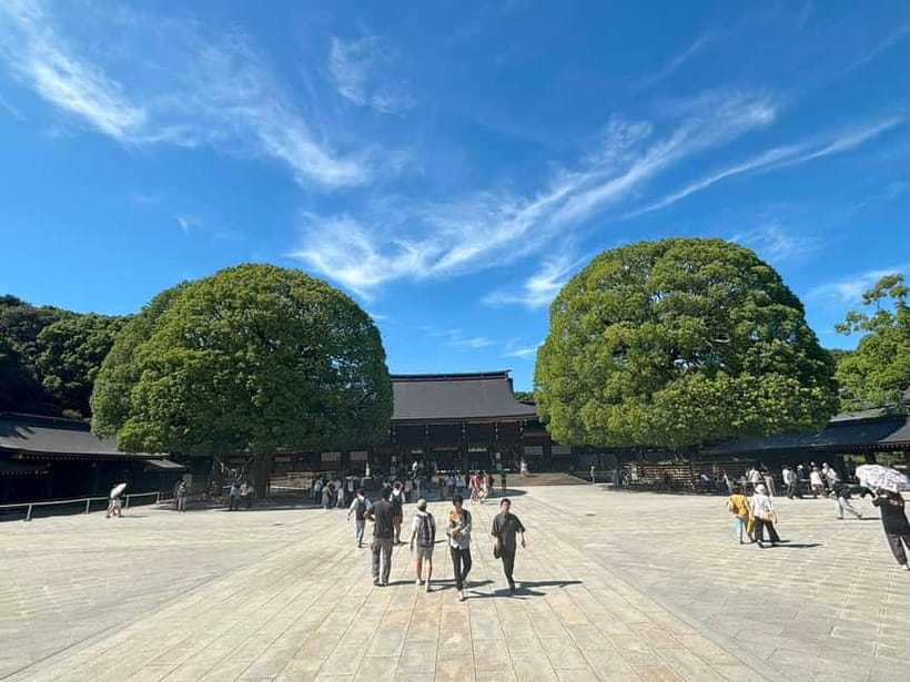 Tokyo: Meiji Jingu, Yoyogi Park & Takeshita Street Tour - Yoyogi Park: a short green pause
