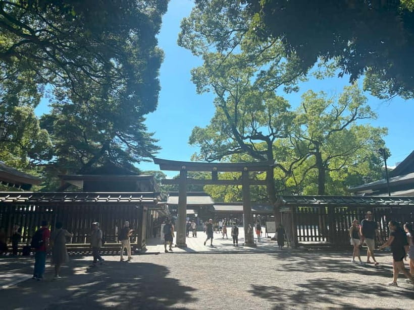 Tokyo: Meiji Jingu, Yoyogi Park & Takeshita Street Tour - What the $36 price really covers