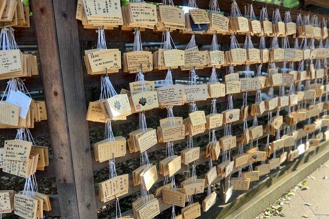 Tokyo: Meiji Shrine and Shinto Culture Walking Tour - What the small group changes