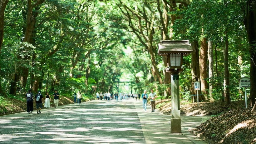 Tokyo: Meiji Shrine Walking Tour — Shinto & Imperial System - Crossing the Ichino Torii and entering sacred ground