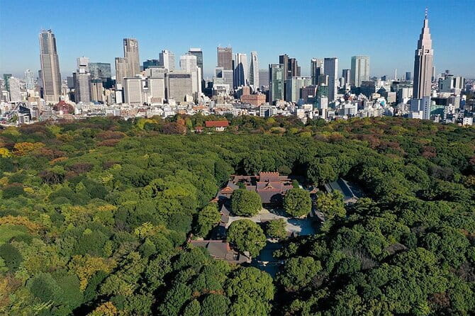 Tokyo: Meiji Shrine Walking Tour — Shintoism & Imperial System - Sake barrels, purification, and the first lessons in Shinto