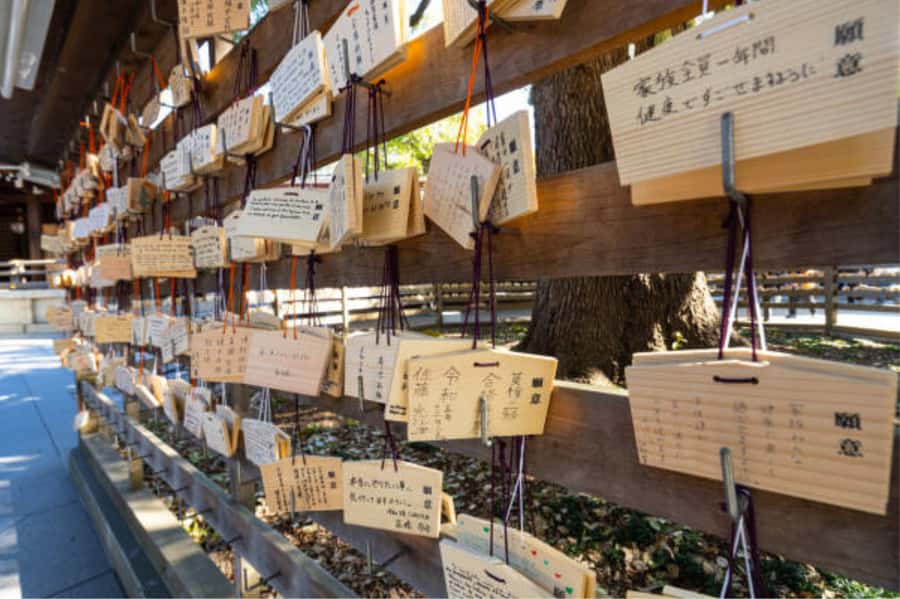 Tokyo: Meiji Shrine Walking Tour with Local Guide - What $20 gets you