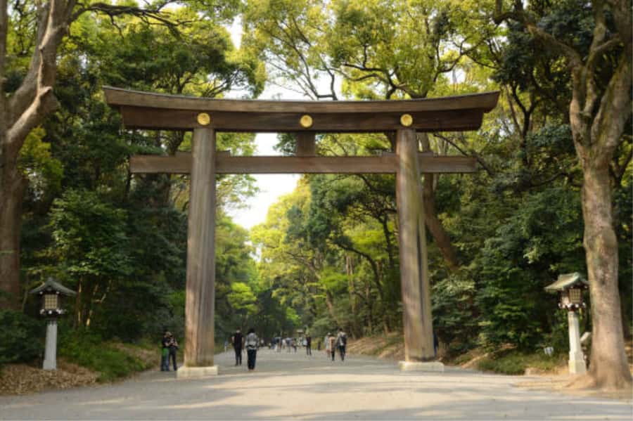 Tokyo: Meiji Shrine Walking Tour with Local Guide - Should you book this tour?