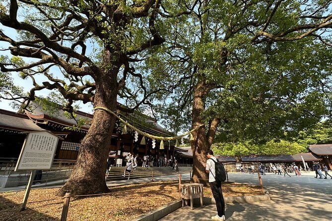 Tokyo Morning Tour : Meiji Shrine, Asakusa and Fish Market - Asakusa and Senso-ji: a strong finish