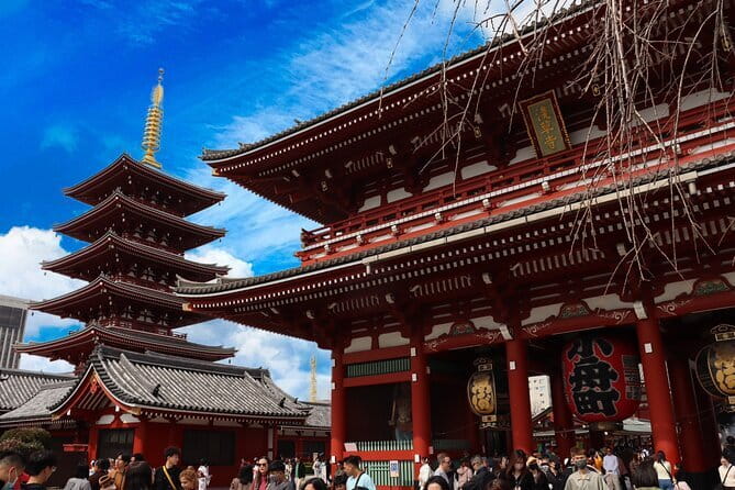 Tokyo Morning Tour : Meiji Shrine, Asakusa and Fish Market - The guides make the difference