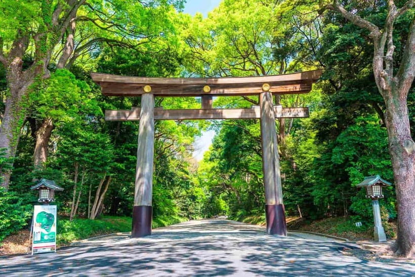 Tokyo Morning Tour: Meiji Shrine, Asakusa & Fish Market - Meiji Shrine: Tokyo’s quiet first chapter