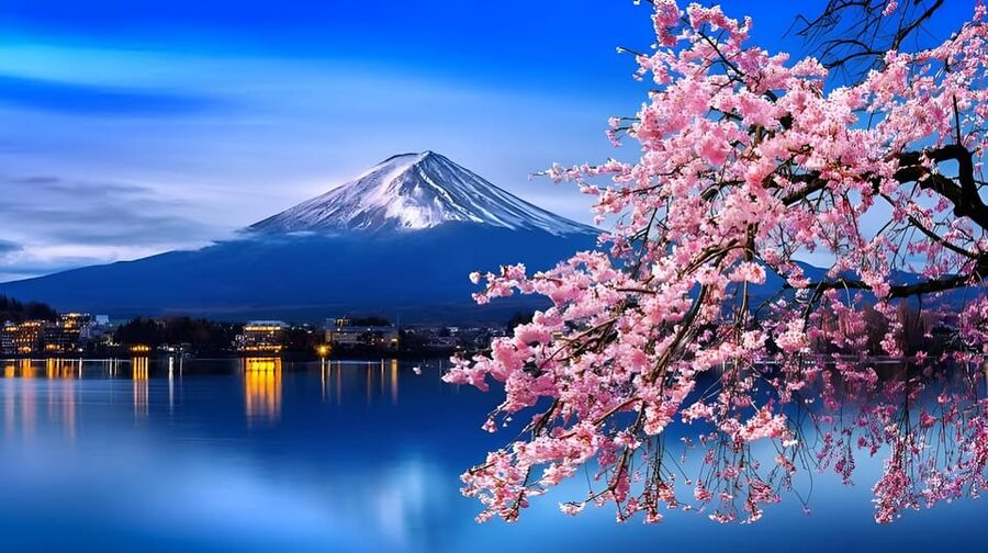 Tokyo: Mount Fuji and Hakone private sightseeing tour - A private day between Fuji and Hakone