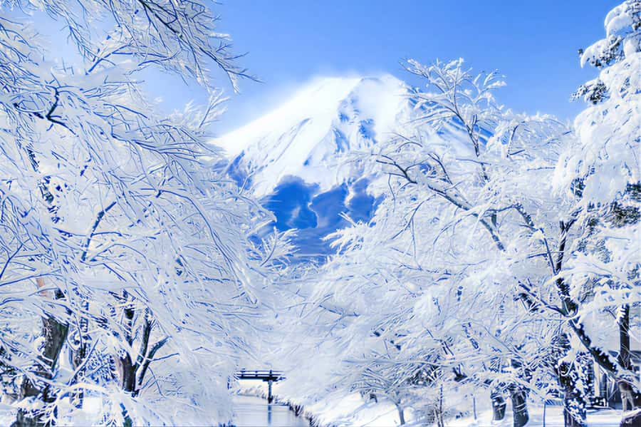 Tokyo: Mount Fuji Day Trip with Scenic & Local Stops - Who should book this Fuji day trip?