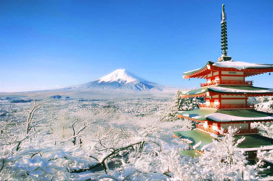 Tokyo: Mount Fuji Day Trip with Scenic & Local Stops - Oshino Hakkai and its clear spring ponds
