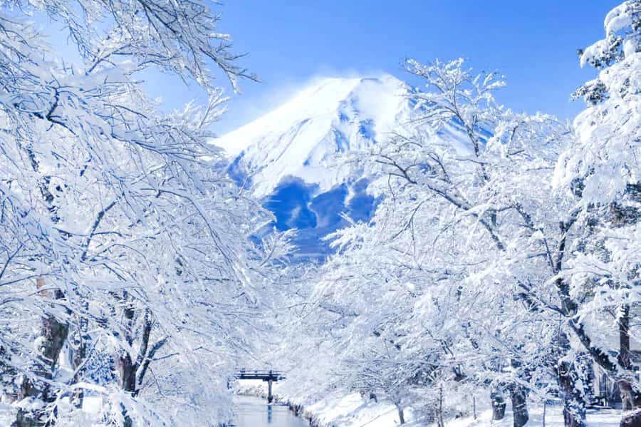Tokyo: Mount Fuji Day Trip with Scenic & Local Stops - Fuji Lawson and the famous blue-white sign