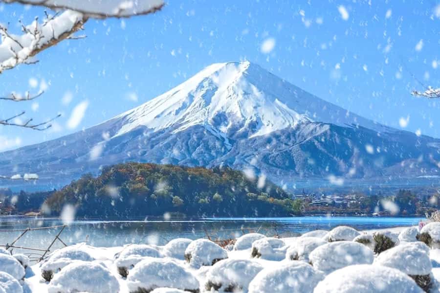 Tokyo: Mount Fuji Day Trip with Scenic & Local Stops - What the guide adds to a fast schedule