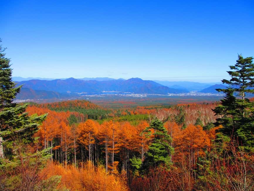 Tokyo: Mount Fuji, Gotemba & Hakone Day Trip by Luxury Bus - Why this Fuji and Hakone day works