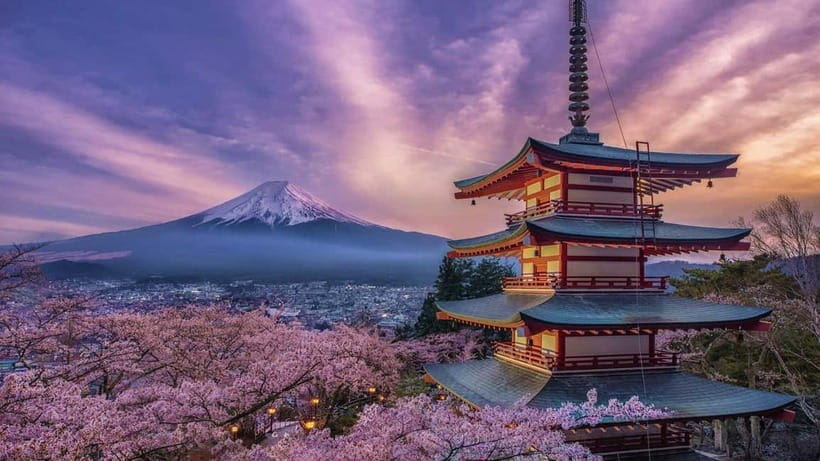 Tokyo: Mount Fuji & Hakone Private Tour with Guide - Why this private Fuji day works