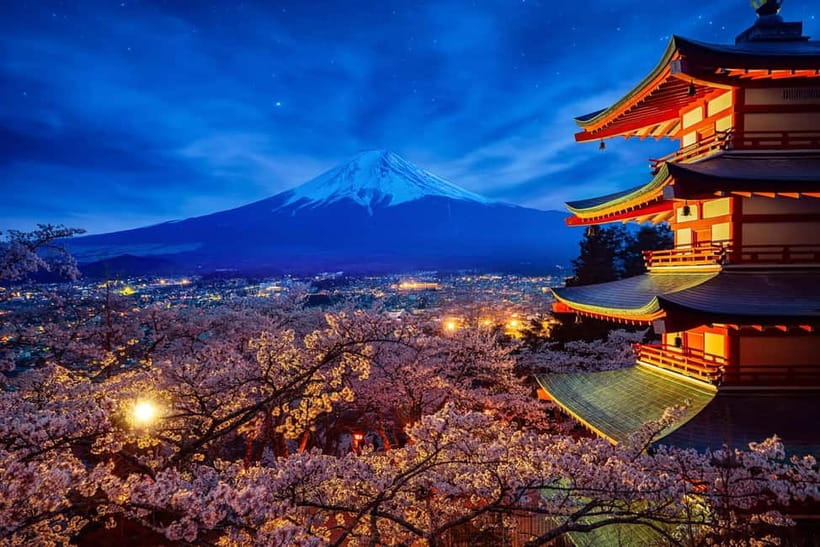 Tokyo: Mount Fuji & Hakone Private Tour with Guide - What the private service adds