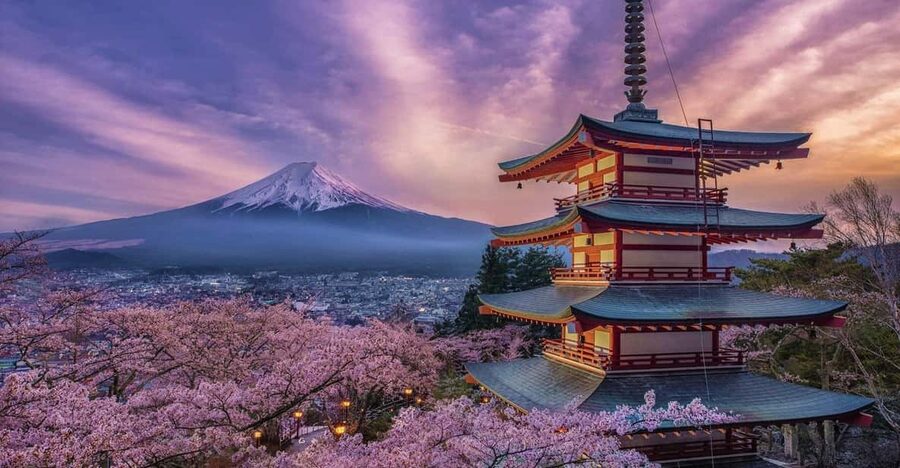 Tokyo: Mount Fuji & Hakone Private Tour with Guide - The drive to Mount Fuji’s 5th Station
