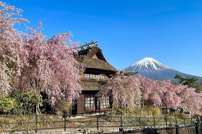 Tokyo: Mount Fuji Must-see Attractions One Day Sightseeing Tour - Oshino Hakkai and the eight clear springs
