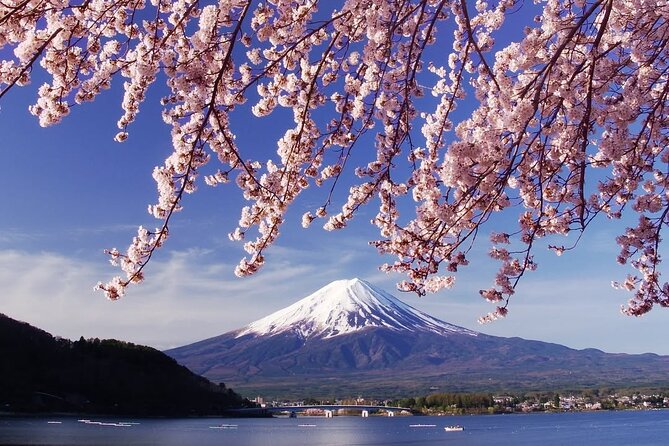 Tokyo: Mount Fuji One Day Trip Lake Kawaguchi & Lake Yamanaka - Lake Kawaguchi and Oishi Park: your first Fuji views