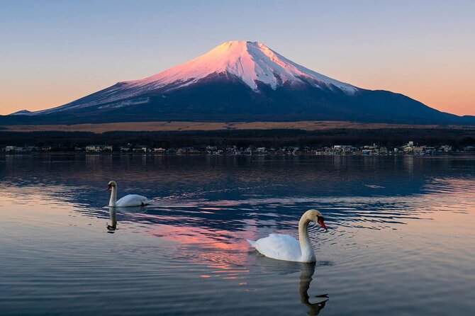 Tokyo: Mount Fuji One Day Trip Lake Kawaguchi & Lake Yamanaka - Oshino Hakkai and its eight spring ponds