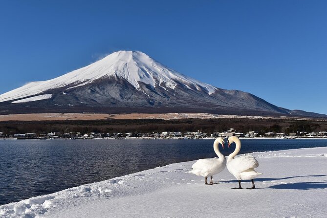 Tokyo: Mount Fuji One Day Trip Lake Kawaguchi & Lake Yamanaka - The Lawson photo stop and Hikawa Clock Shop
