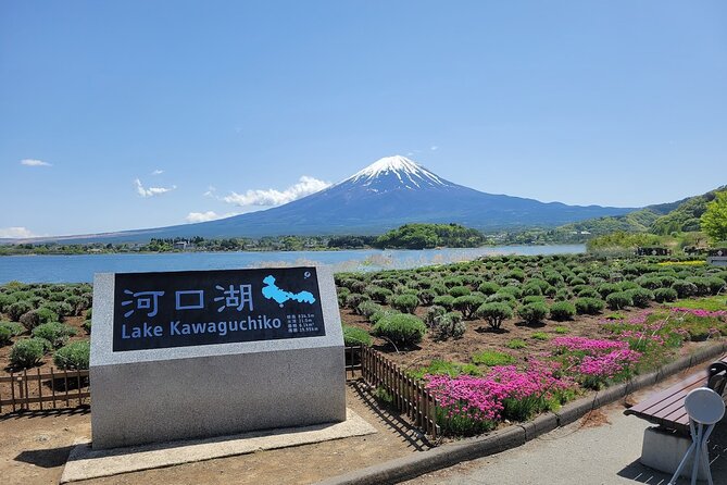 Tokyo: Mount Fuji One Day Trip Lake Kawaguchi & Lake Yamanaka - Chureito Pagoda and Arakurayama Sengen Park