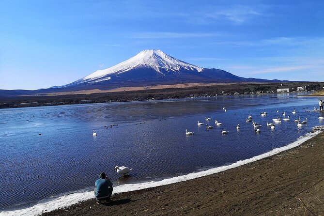 Tokyo: Mount Fuji One Day Trip Lake Kawaguchi & Lake Yamanaka - The guide, group size, and pace