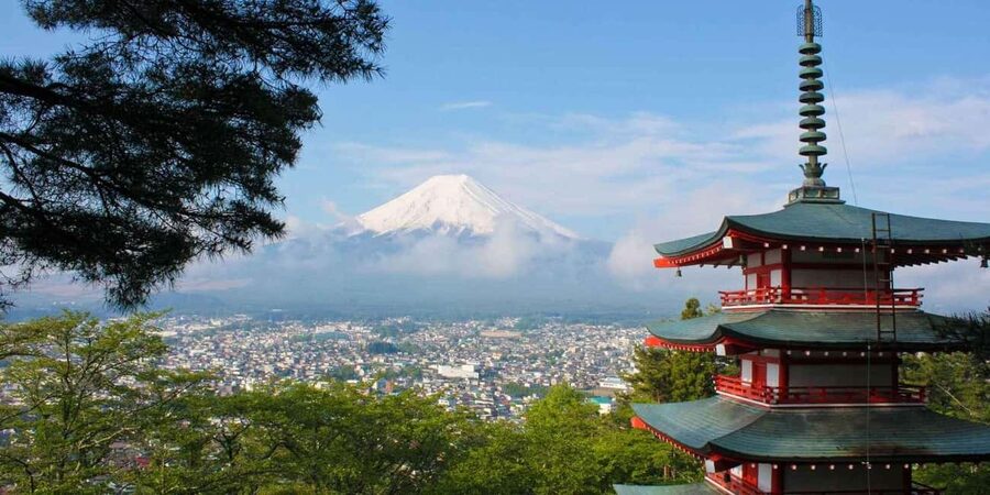 Tokyo: Mount Fuji Private Tour with Scenic Lunch Experience - Key points to know before booking